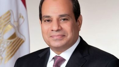 السيسي يؤكد مواصلة الجهود لوقف إطلاق النار في غزة وتمسك مصر برفض التهجير