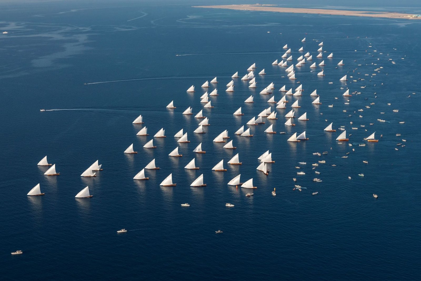 سباق دلما الثامن للمحامل الشراعية ينطلق الأحد المقبل