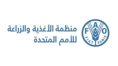 الفاو: 35% من المخزون السمكي العالمي يتم صيده بشكل غير مستدام