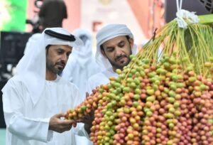 برعاية منصور بن زايد.. مهرجان ليوا للرطب بدورته الـ 21 ينطلق 14 يوليو