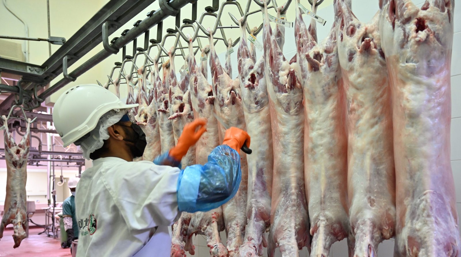 مسالخ أبوظبي جاهزة لاستقبال الجمهور خلال عيد الأضحى المبارك 1 مسالخ أبوظبي