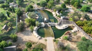 "دبي سفاري بارك" تختتم موسماً استثنائياً بأعداد قياسية من الزوار ونمو يعزز حماية الحياة الفطرية