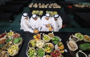 برعاية منصور بن زايد.. مهرجان ليوا للرطب بدورته الـ 21 ينطلق 14 يوليو