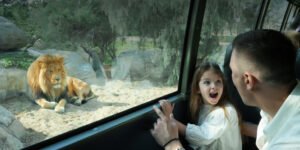 "دبي سفاري بارك" تختتم موسماً استثنائياً بأعداد قياسية من الزوار ونمو يعزز حماية الحياة الفطرية