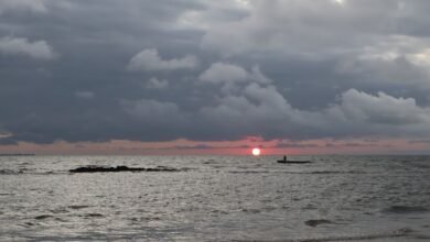 الغابون تنهي اتفاقية مصايد الأسماك مع الاتحاد الأوروبي