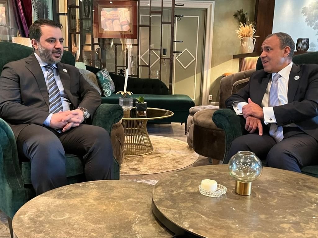 وزير الخارجية المصري يؤكد أهمية تحقيق الاستقرار المستدام في سوريا