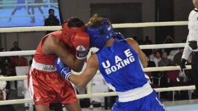 الملاكمة في الإمارات.. ريادة خليجية وخطط طموحة لإنجازات قارية وعالمية