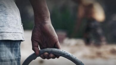 "حكماء المسلمين": حماية الأطفال واجب شرعي وأخلاقي وإنساني