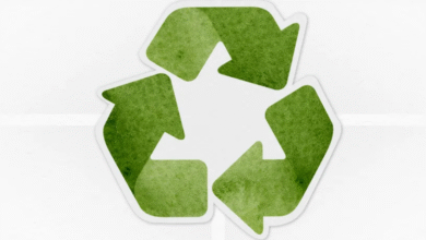 بيئة أبوظبي