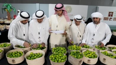 منصور بن زايد