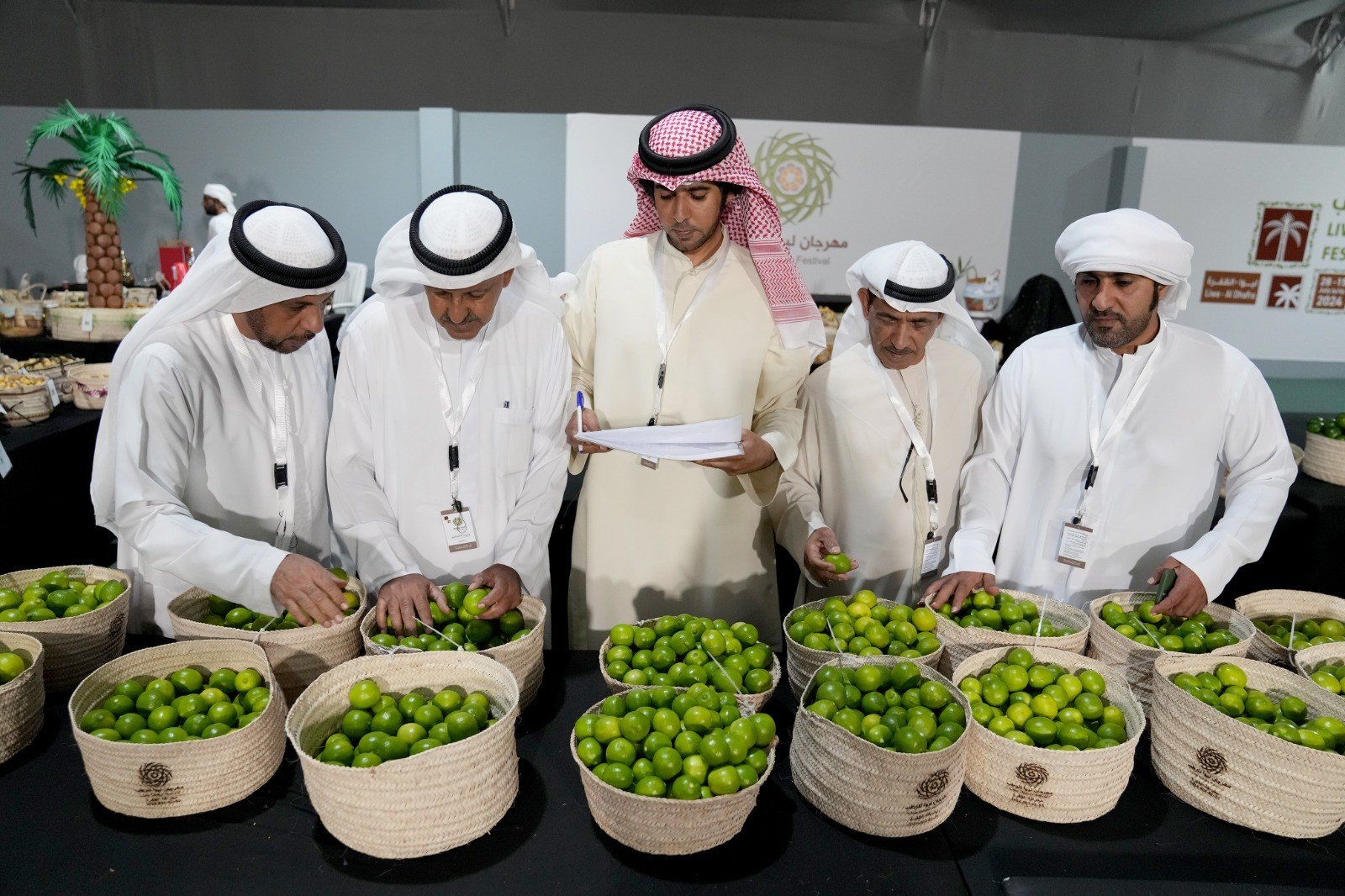 منصور بن زايد