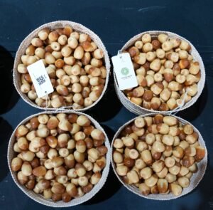 برعاية منصور بن زايد.. مهرجان ليوا للرطب بدورته الـ 21 ينطلق 14 يوليو