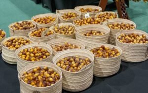 برعاية منصور بن زايد.. مهرجان ليوا للرطب بدورته الـ 21 ينطلق 14 يوليو