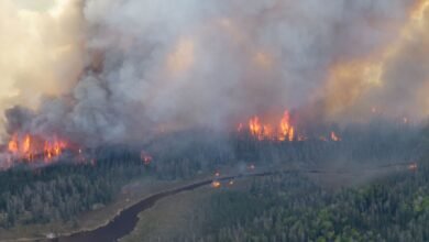 دخان حرائق كندا يصل إلى أجواء شمال غرب أوروبا