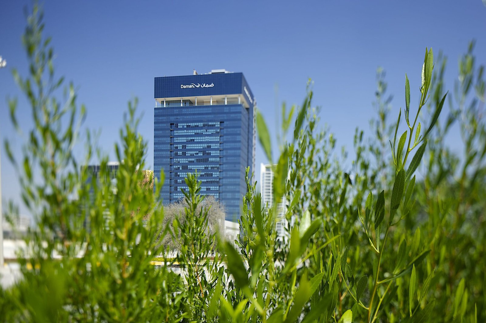 "بيورهيلث" توسع خدمات "ضمان" لتشمل تأمين الممتلكات والمسؤوليات في الإمارات