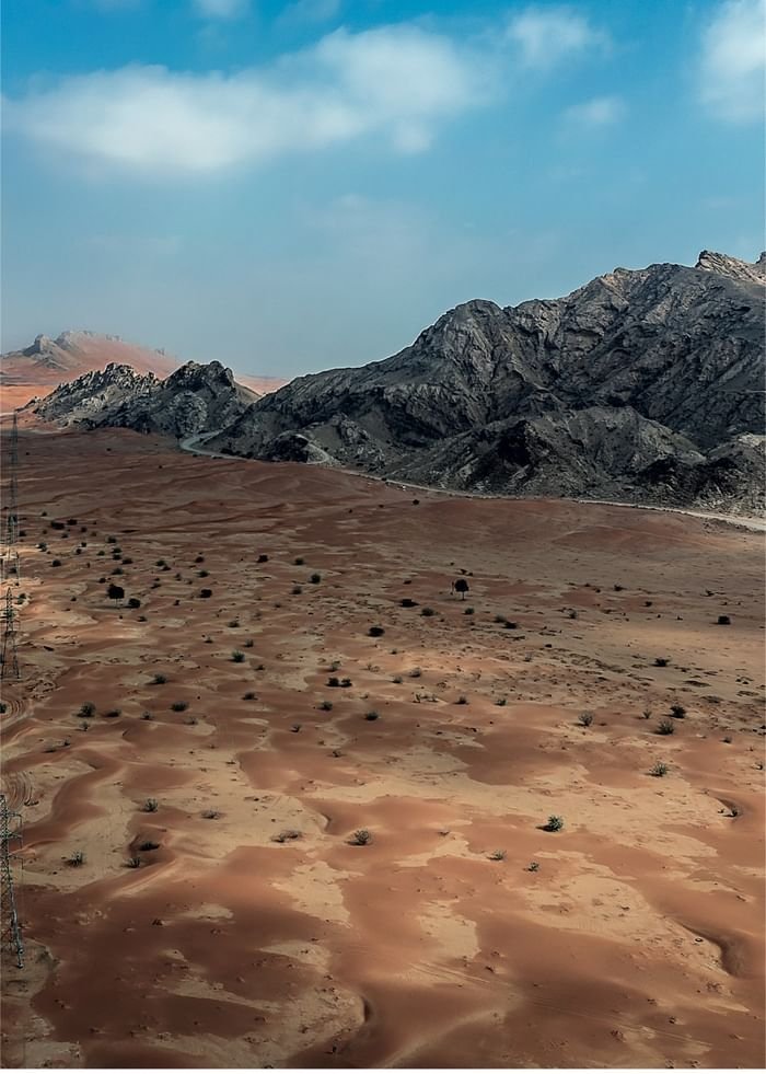 الشارقة.. "الفاية" يكمل 11 عاماً من التعاون مع برنامج اليونسكو لـ"التطور البشري"