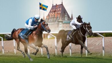 السويد تستضيف غدا المحطة السادسة لكأس رئيس الدولة للخيول العربية