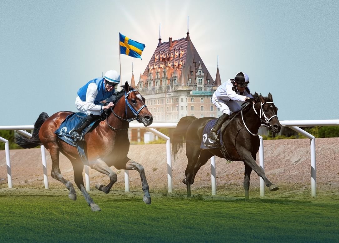 السويد تستضيف غدا المحطة السادسة لكأس رئيس الدولة للخيول العربية