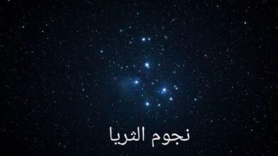طلوع نجم الثريا في سماء الإمارات فجر 7 يونيو إيذانا بدخول " القيظ"