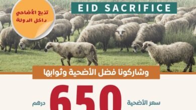 "بيت الخير" تطلق مشاريع عيد الأضحى بإجمالي 3,3 مليون درهم