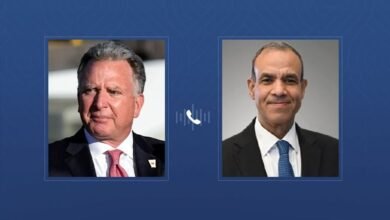 وزير الخارجية المصري يشدد على أهمية إنهاء الحرب في غزة