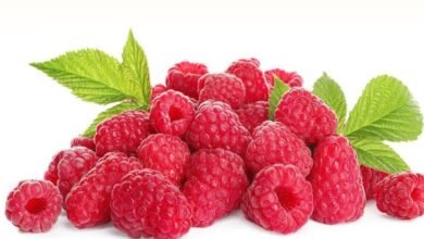 ما فوائد تناول التوت الأحمر؟